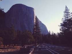 grizzlypeakranger:  Good morning, El Capitan!