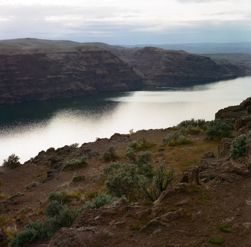 Columbia River Gorge Overlook, WA2018