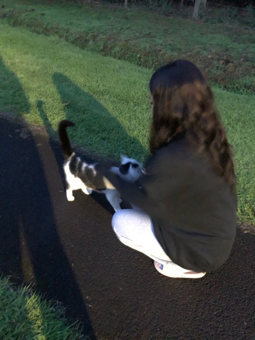 Cat Would Not Stop Following Us