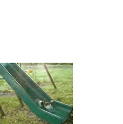 https://69.media.tumblr.com/f8920bf5d1ad1f89d52d6b6e0f9b1000/tumblr_mtli6xmoDl1rwliuqo1_400.gif