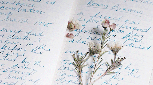 mormornt: sher’s list of favourite movies [11/70] • the guernsey literary and