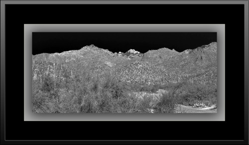 Cactus Picnic Area
Road to the Cactus Picnic Area In Sabino Canyon – Image by kenne poetry by Charles Bukowski…