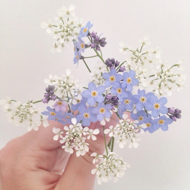 blossomalida:Before and after✨🌿