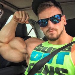 Muscle hunks in cars