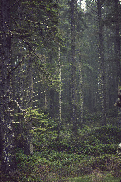 brutalgeneration:  short sands, oregon by kennett mohrman on Flickr. 