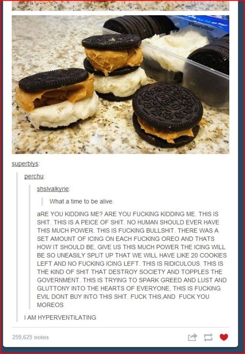 vio-and-his-tupla:  karetahana:  thisdefineswhoiam:  this just happened on my dash…  it happend again  How can you hate on cookies though?? Like, in any form?? They’re FUCKING COOKIES BRO!!!  don’t let the anti-moreos guy see this either 