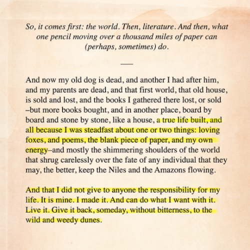 marianhalcombes:excerpted from Upstream by Mary Oliver