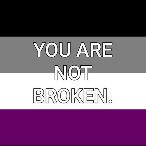 genderqueerpositivity: (Image description: the rainbow, trans, lesbian, nonbinary, bisexual, asexual