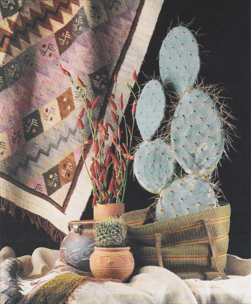 decoratingwithhouseplants:The Indoor Garden Book, John Brookes  ©1986