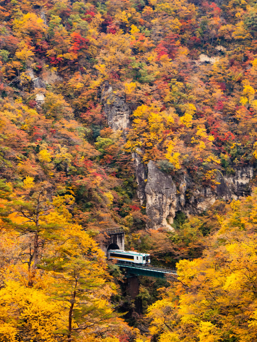 yugen-desu: 鳴子峡宮城県大崎市Naruko GorgeOsaki, Miyagi PrefecturePhoto by かがみ～  感動的！