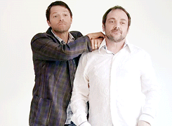 mishas-assbutts:  [x] 