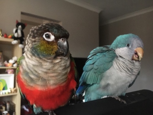 She hate her brother