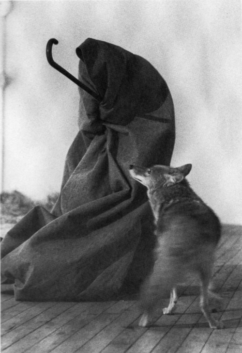 weareaccident:  Joseph Beuys - I like America and America likes me (1974) 
