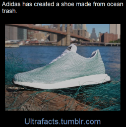 ultrafacts:    Adidas, in partnership with