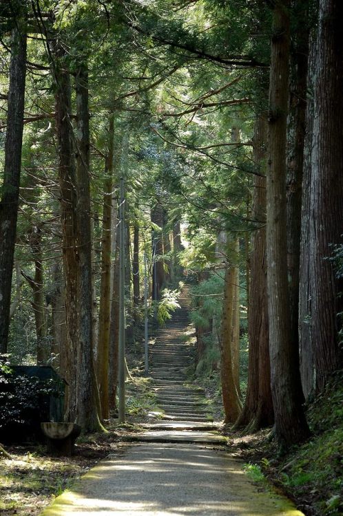 wanderlustjapan:Kinosaki byShogo Nishiyama