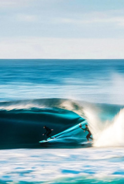 Surfs Up