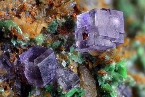 geologypage:  Fluorite, Zeunerite | #Geology #GeologyPage #Mineral  Locality: Montoso Quarries, Bagnolo Piemonte, Cuneo Province, Piedmont, Italy FOV: 4.74 mm  Photo Copyright © Giuseppe Finello  Geology Pagewww.geologypage.com