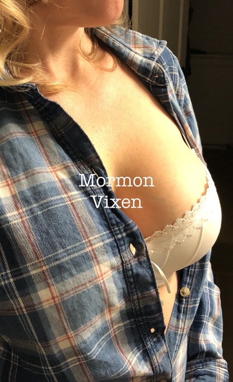 mormonvixen: Pretty good activity yesterday, and with the exception of one comment I got it was all 