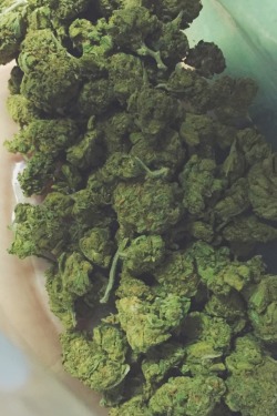 weedcrumbsonmylips:  finally some new stuff