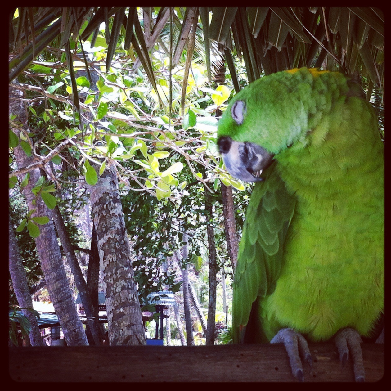 anneetsophievoyagent:  Costa Rica en vrac - End of road trip © 2014 Anne B. &amp;