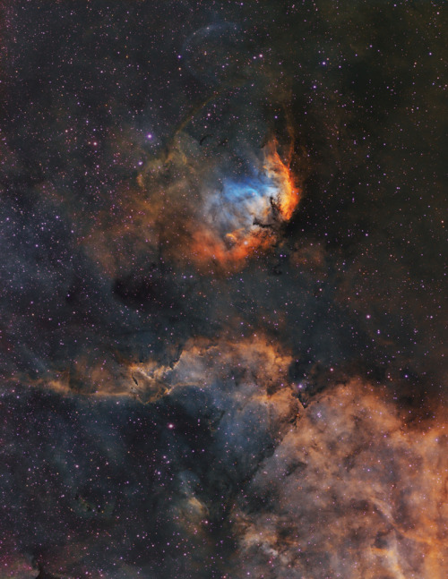 just–space:The Tulip and Cygnus X 1 : This tall telescopic field of view looks out along the p