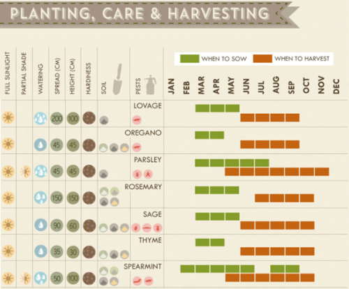 The Herb Growing Cheat Sheet [Infographics]Now we’ve entered spring and the sun is starting to