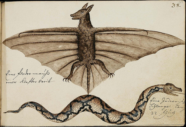 design-is-fine:  The Batavia Journal, 1669 - 1682. These illustrations come from