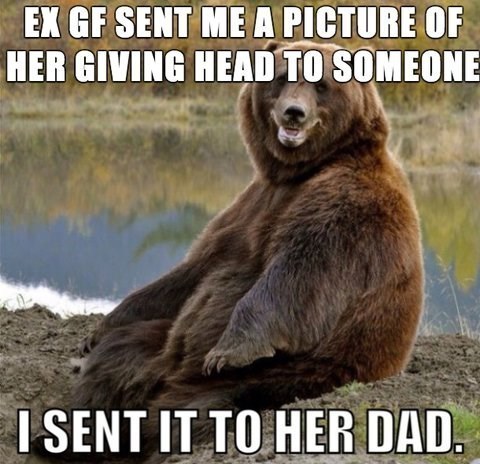 memehumor:  I Have No Regretshttp://memehumor.tumblr.com