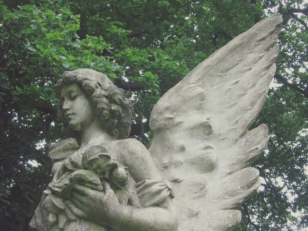 englishsnow:  Old Southampton Cemetery by dippy_duck 