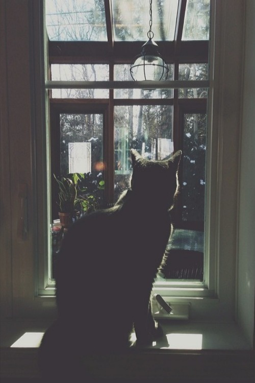 saint:  vintage blog