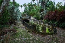 destroyed-and-abandoned:  A mossy reflecting pool on an abandoned estate in Florida. . 