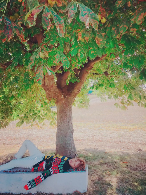 kaibility: autumn boy  181019, jongin for Wkorea - official shoot + zkdlin IG updates.