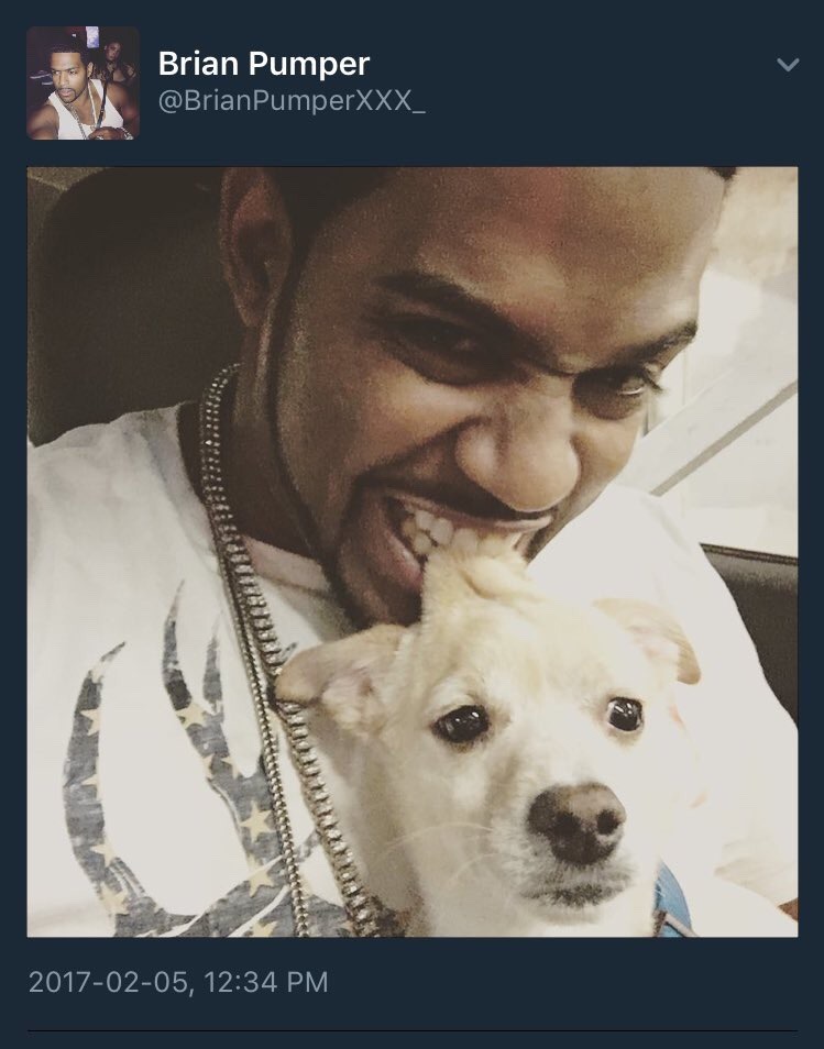 tarynel:  kinghispaniola:  gang0fwolves:  i have the same look as the dog anytime