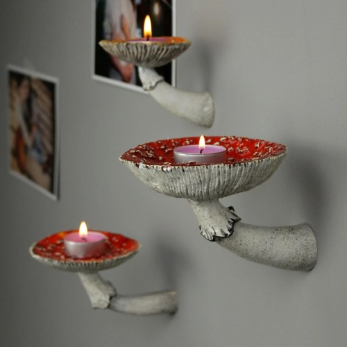 sosuperawesome:Mushroom Shelves // Leily adult photos