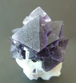 Hematitehearts:  Fluoritelocality: De An Mine, Jian Jiang, Jiangxi Province, China