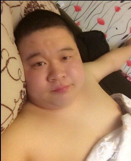 Korean bear