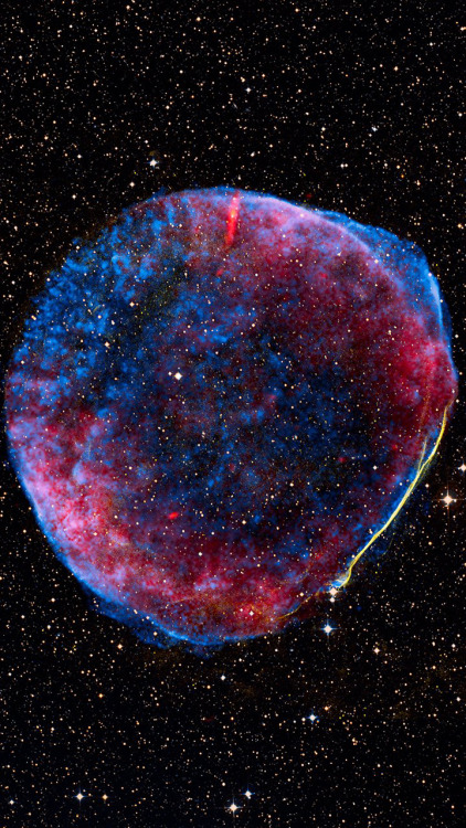 XXX spacewonder19:  Supernova Remnants © Chandra photo