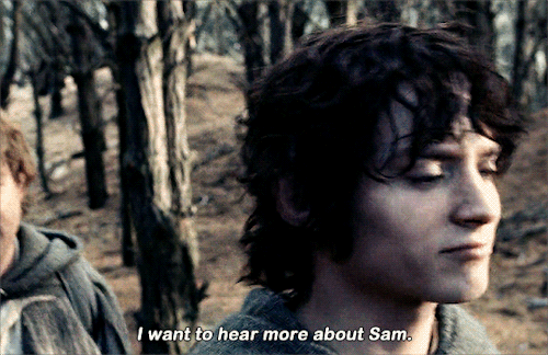 lindir: I wonder if people will ever say, ‘Let’s hear about Frodo and the Ring.’ And they’ll say &ls