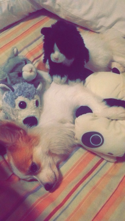 rhonocrs:  ah toby my child ♡ (◍ ˊૢ꒳ˋૢ ◍)