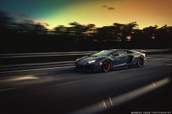 automotivated:  Aventador Miami by Marcel Lech on Flickr.