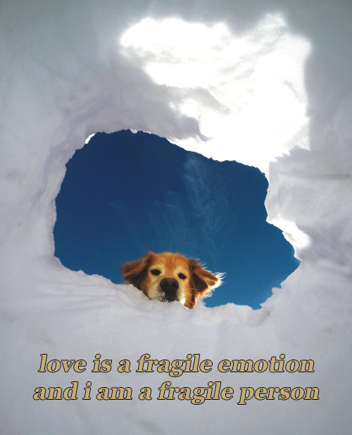 http://a-nr.tumblr.com/post/116880084578