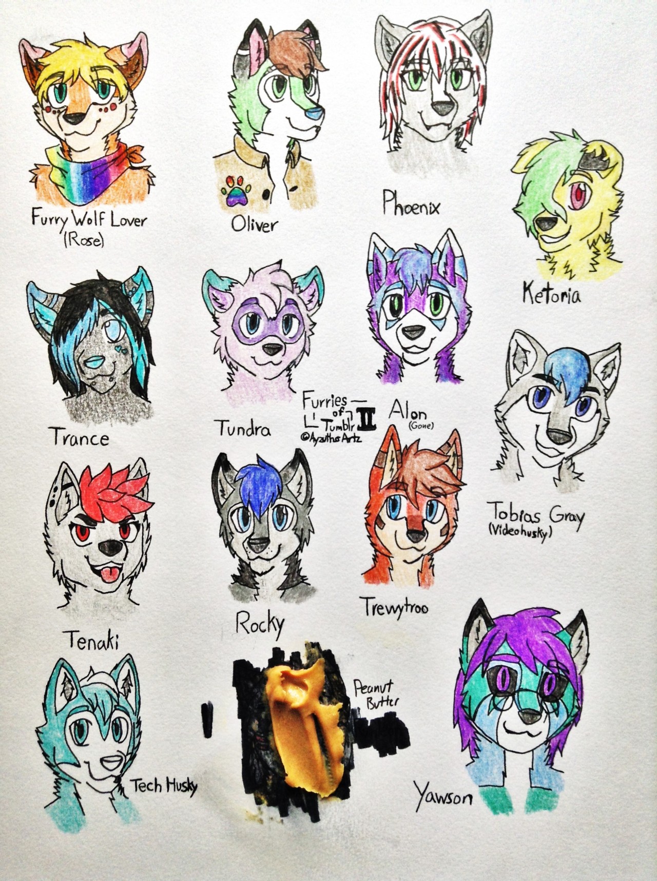 furrywolflover:  ayzutho-the-catfox:  Furries of Tumblr Collection  Aww I dont see