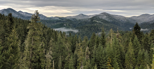 Cascade Range, Oregon ~ Eileen Kitayama 2018