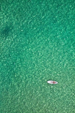 ponderation:Bondi Paddleboarder by Matt Lauder 