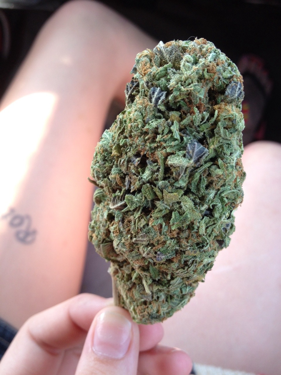 theperksofbeingliley:  themindofsam:  A quarter nug of some dank 