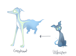 frozenfishfillet:frozenfishfillet:chongoblog:chongoblog:chongoblog:Had a dream that
