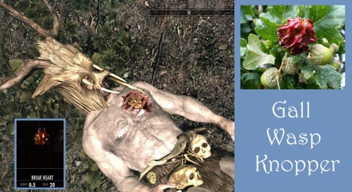 hiddenskyrim:  Back by popular demand, for adult photos