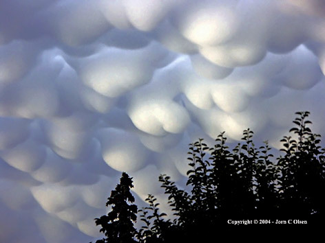 There is a type of cloud called the Mammatus cloud that was named for it's resemblance of boobs.