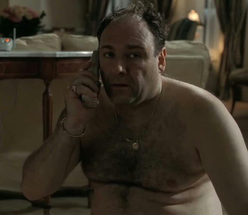 adam-and-celebrity-chubs:  Adam-and-Celebrity-Chubs #21  James Gandolfini  (Actor)