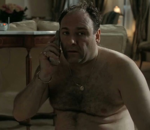 adam-and-celebrity-chubs:  Adam-and-Celebrity-Chubs #21  James Gandolfini  (Actor)